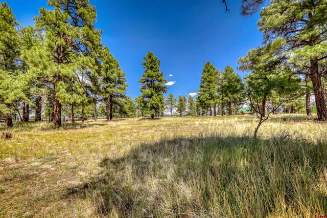 a view of swimming pool with an outdoor space