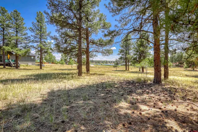 a view of yard with trees