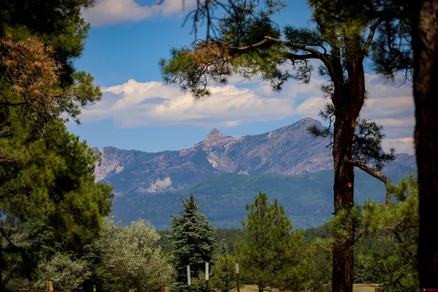 an aerial view of ocean with trees all around