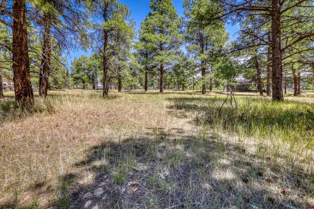 a view of lake with trees