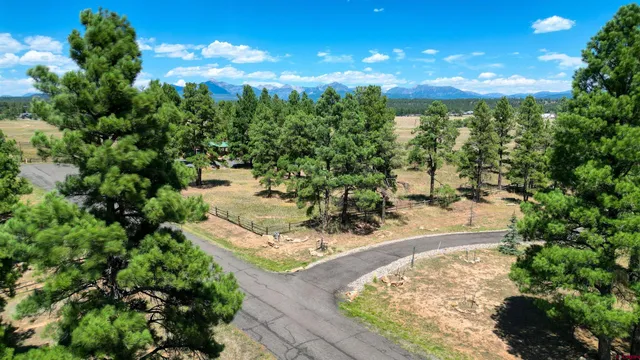 a view of a backyard of the house