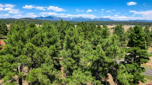 a view of a city and lush green forest