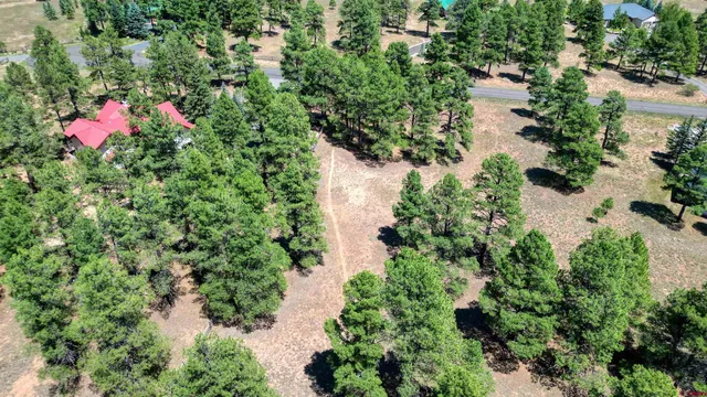 an aerial view of residential house with outdoor space and trees all around