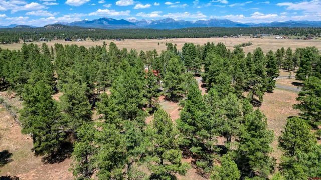 a view of lake with green space