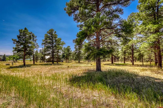 a view of an outdoor space with yard