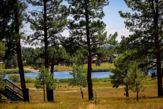 a view of a yard with wooden fence