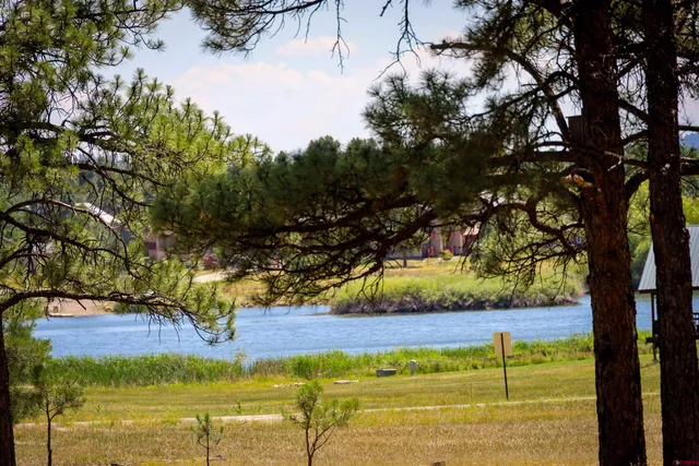 a view of a yard with an outdoor space