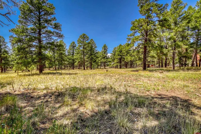 a view of swimming pool with an outdoor space and seating area
