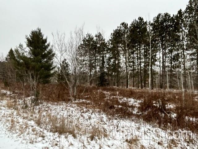 Tbd4 Larson Road Atlantic Mine, MI 49905 - Photo 21 of 41 Gallery Image 21