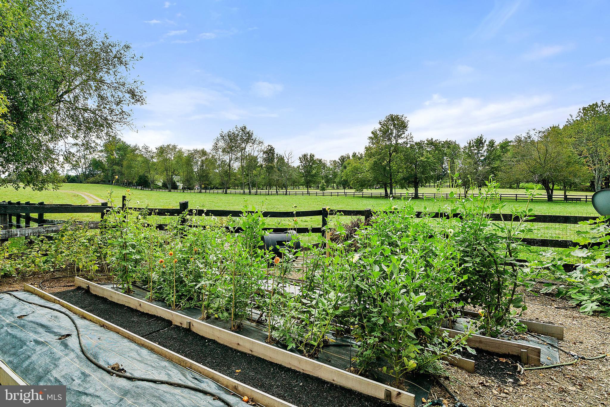 3839 Whiting Road Marshall, VA 20115 - Photo 44 of 47 Gallery Image 44