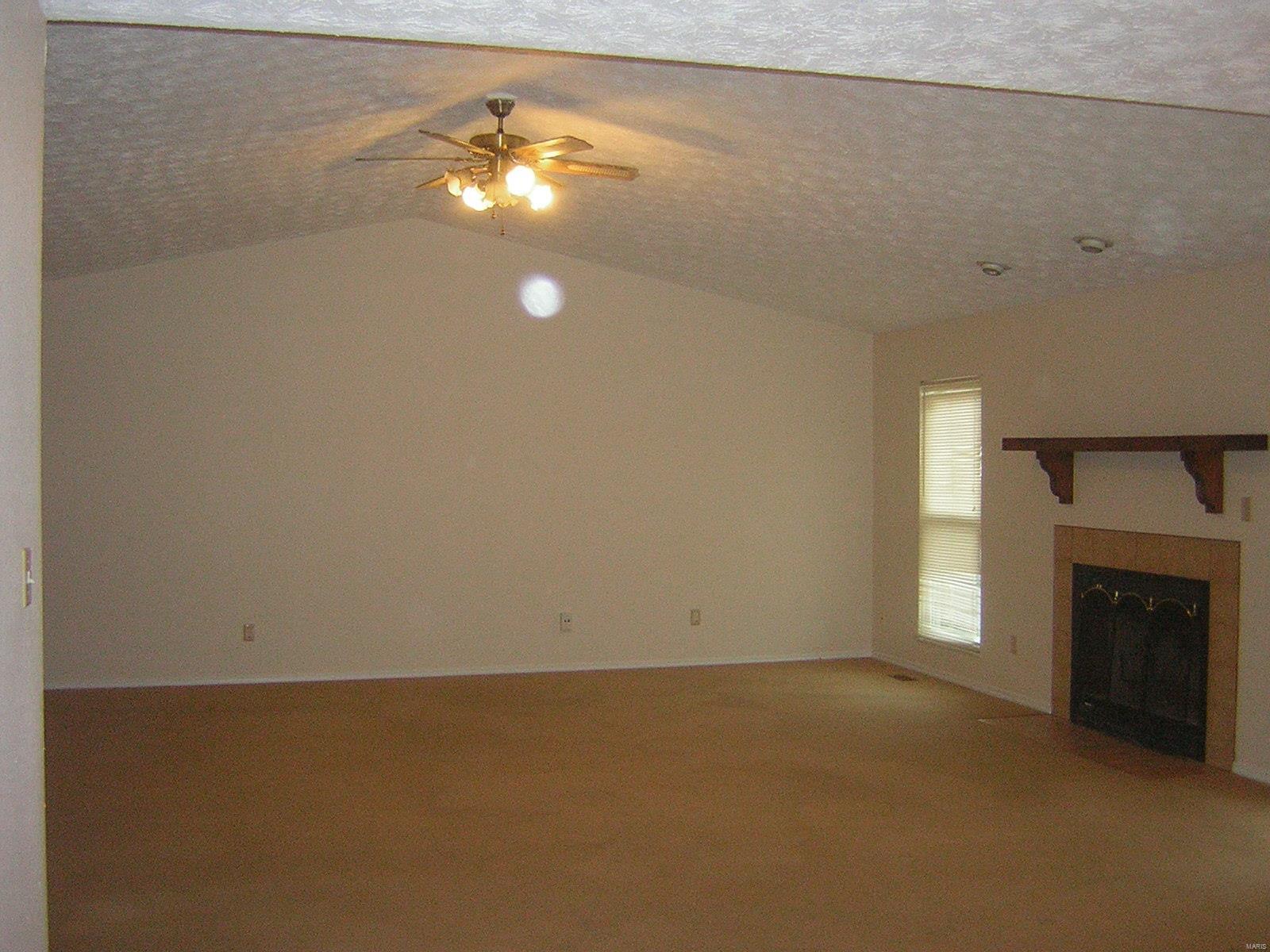 117 Rio Verde Drive Belleville, IL 62221 - Photo 3 of 10 Gallery Image 3