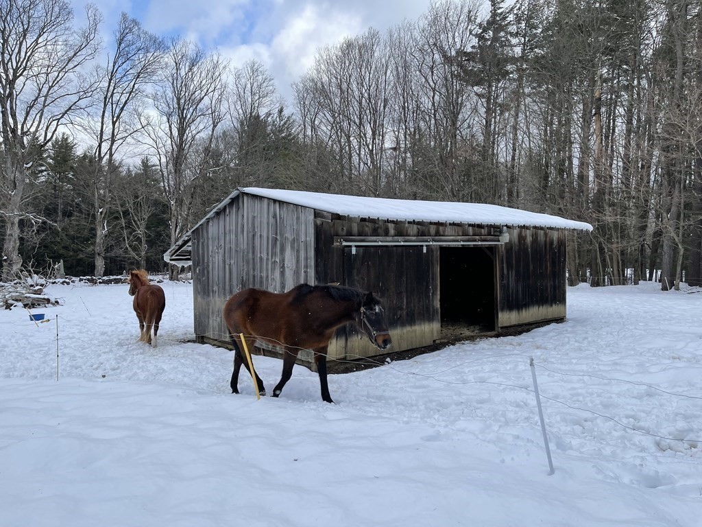 139 Williamsburg Road Ashfield, MA 01330 - Photo 25 of 30 Gallery Image 25