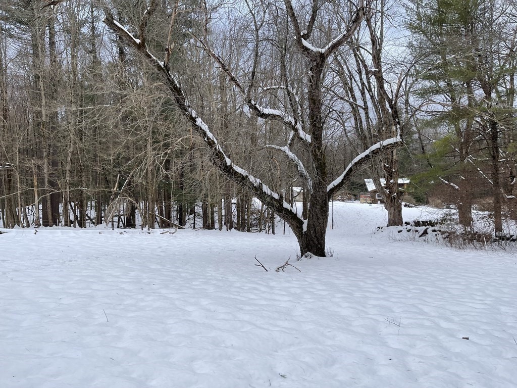 139 Williamsburg Road Ashfield, MA 01330 - Photo 28 of 30 Gallery Image 28