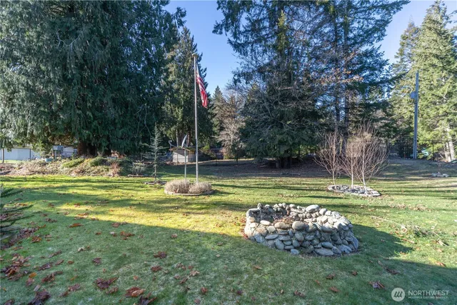 a view of a park with large trees