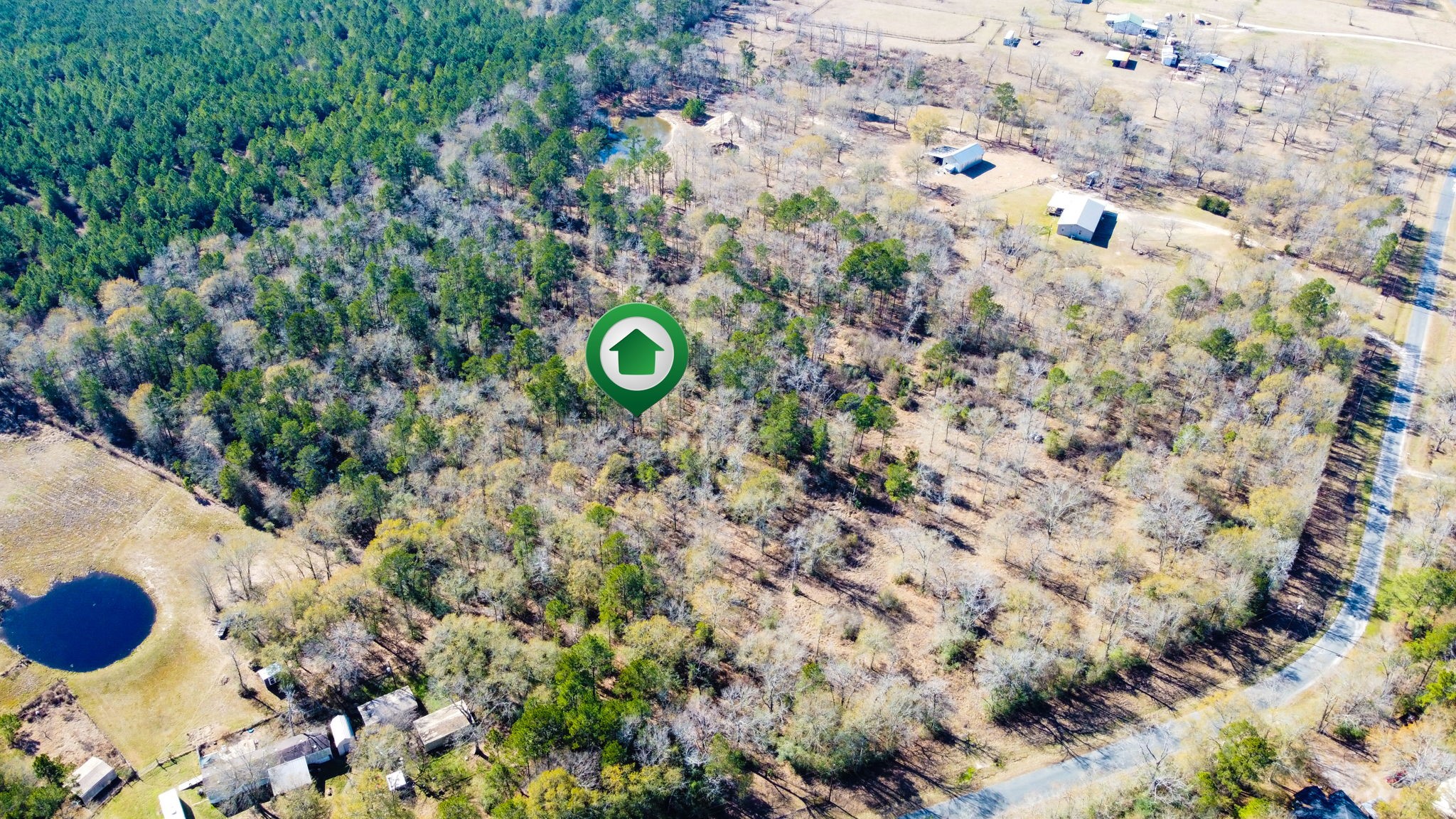 a view of a dry yard