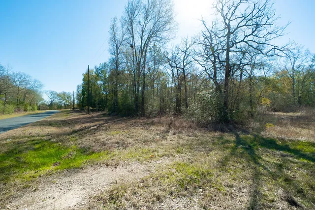 a view of outdoor space with trees