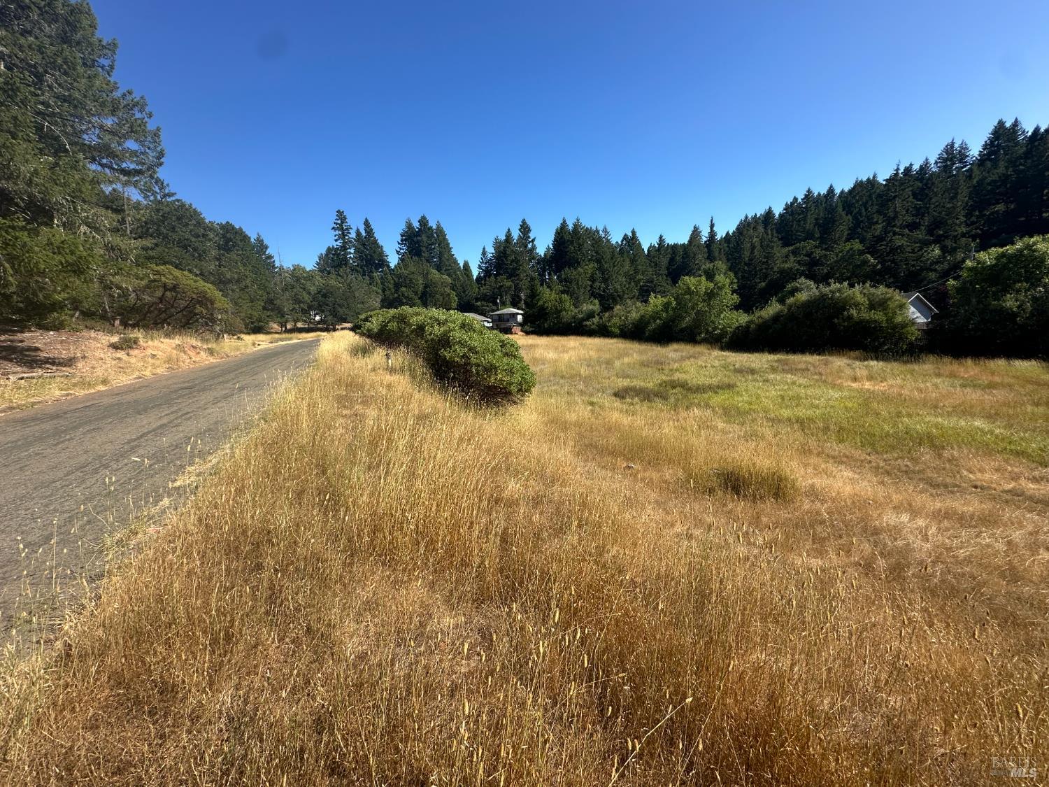 25460 Madrone Drive Willits, CA 95490 - Photo 4 of 6 a view of a yard with swimming pool and trees in the background