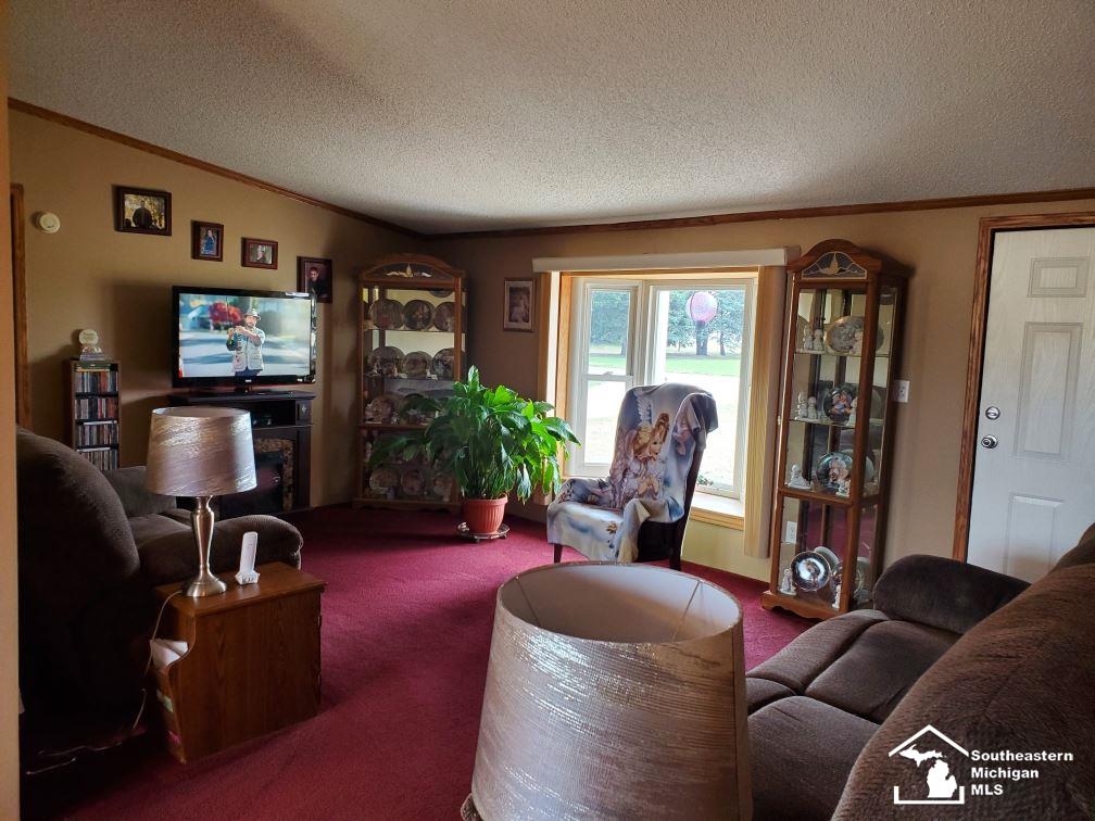 4612 Stadler Road Monroe, MI 48162 - Photo 6 of 27