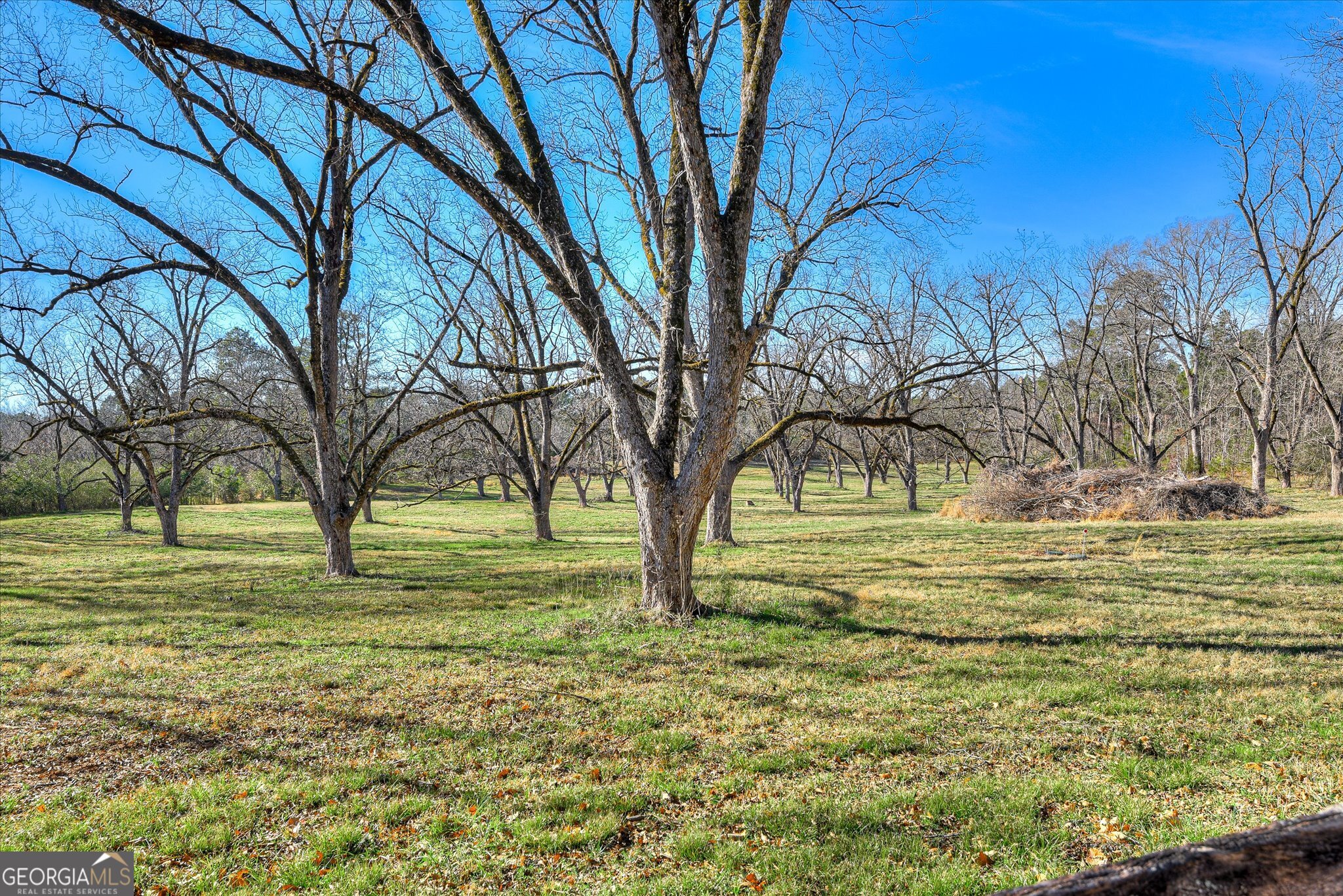 267 Garrard Road Washington, GA 30673 - Photo 54 of 74
