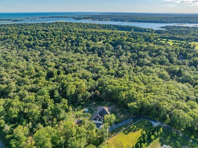 a view of a garden with a lake