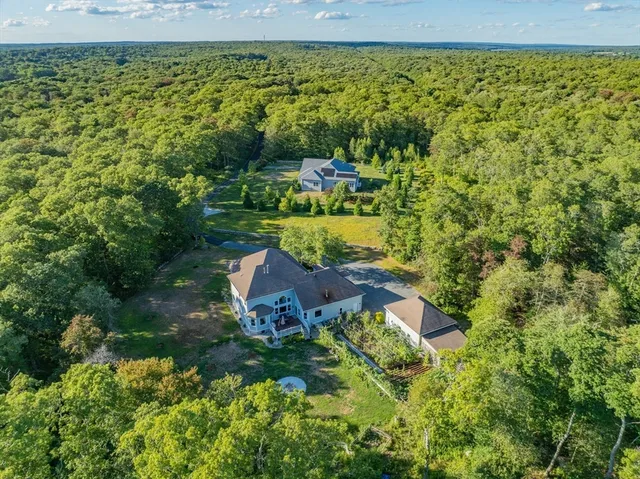 a view of a garden with plants