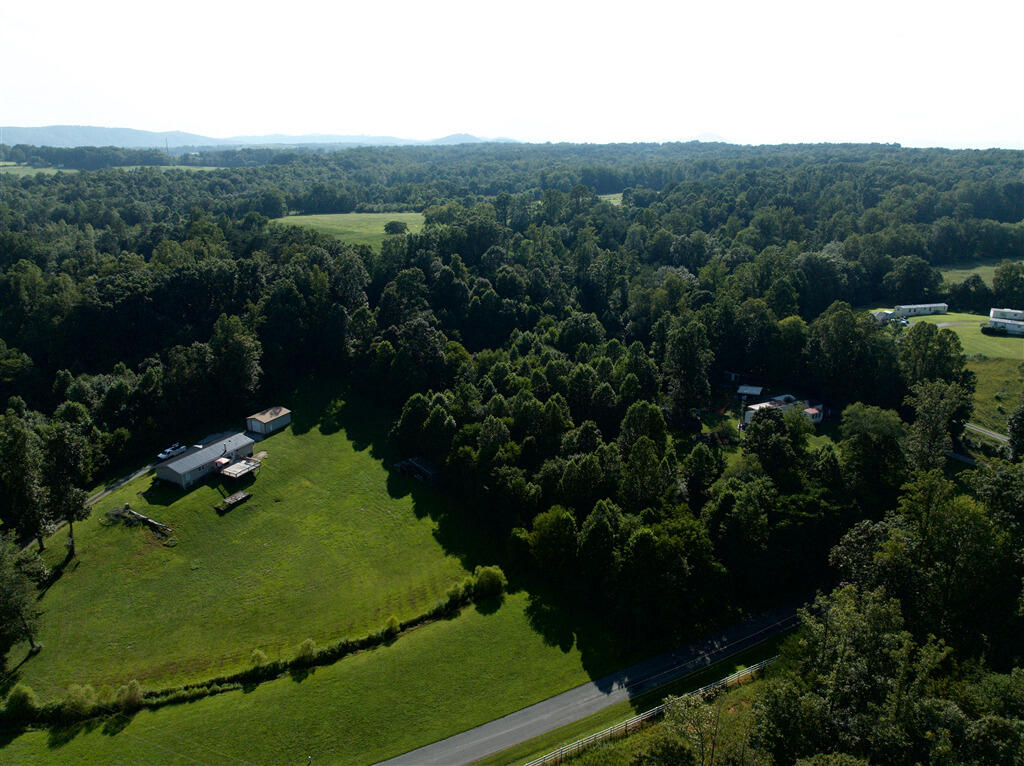a view of a garden with a lot of trees