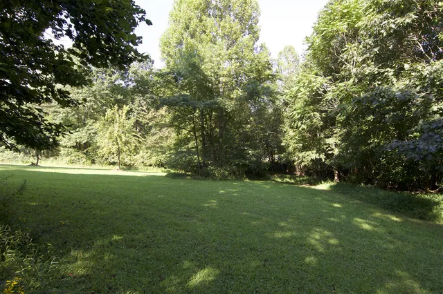 a view of yard with green space