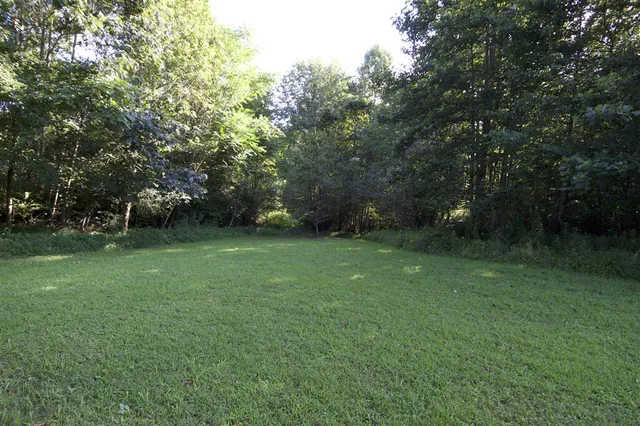a view of a green field with trees