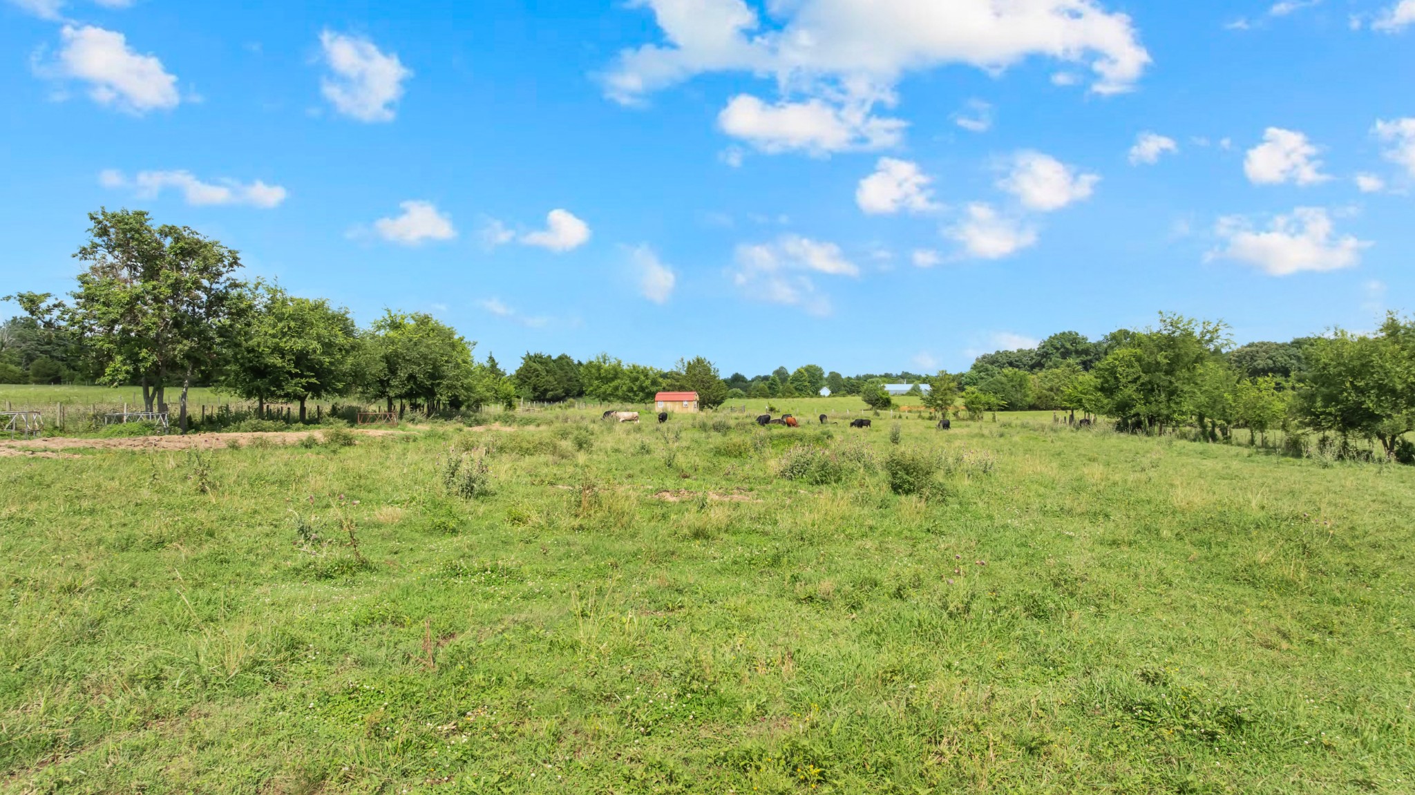 257 Whitaker Road Shelbyville, TN 37160 - Photo 40 of 46