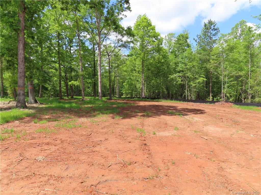 2219 Cedar Road York, SC 29745 - Photo 4 of 14 a backyard of a house with lots of green space