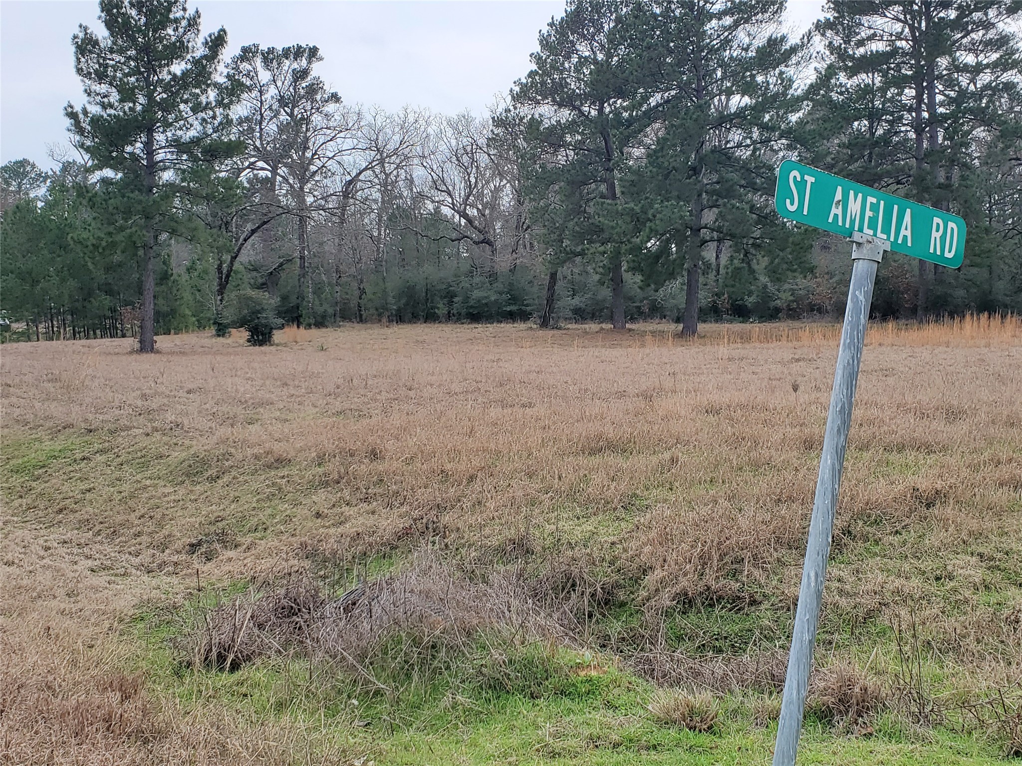 Lot 1-2 Oakley Road Trinity, TX 75862 - Photo 11 of 23 Gallery Image 11