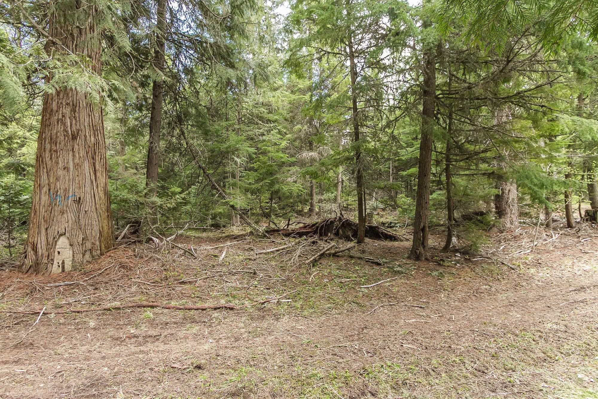 Nna Deep Lake Boundary Road Colville, WA 99114 - Photo 5 of 13 Gallery Image 5