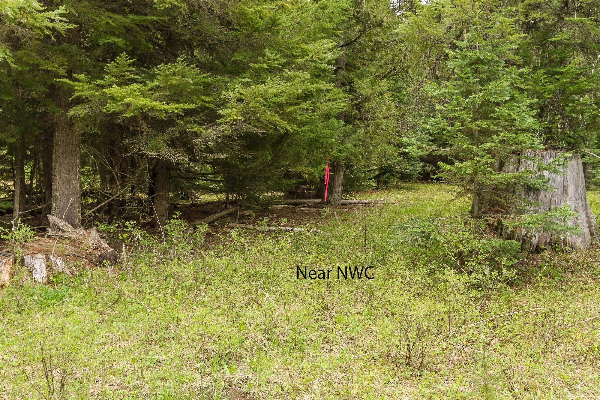 Nna Deep Lake Boundary Road Colville, WA 99114 - Photo 8 of 13 Gallery Image 8