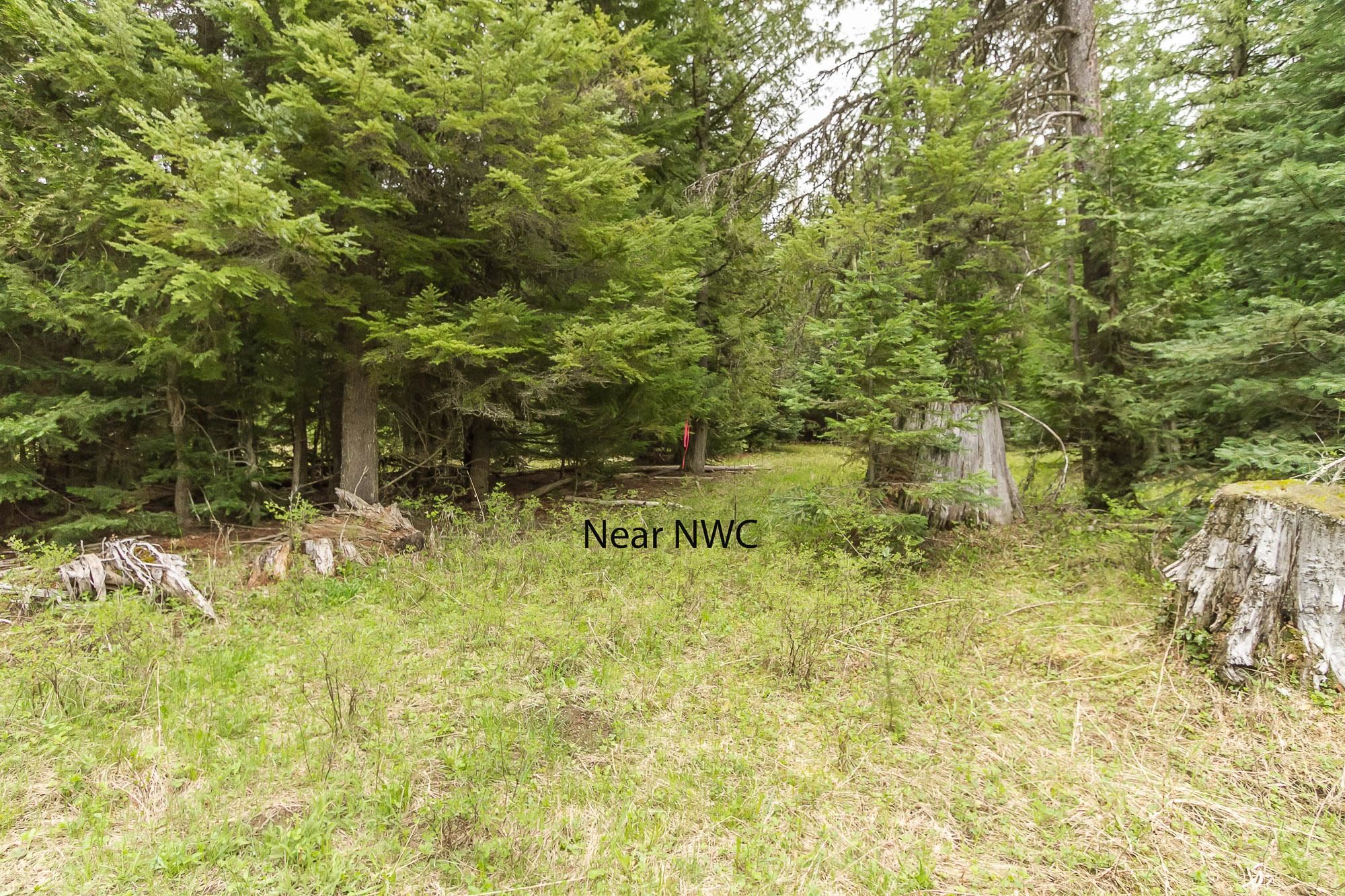 Nna Deep Lake Boundary Road Colville, WA 99114 - Photo 9 of 13 Gallery Image 9