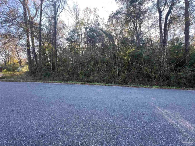 a view of a field with trees in the background