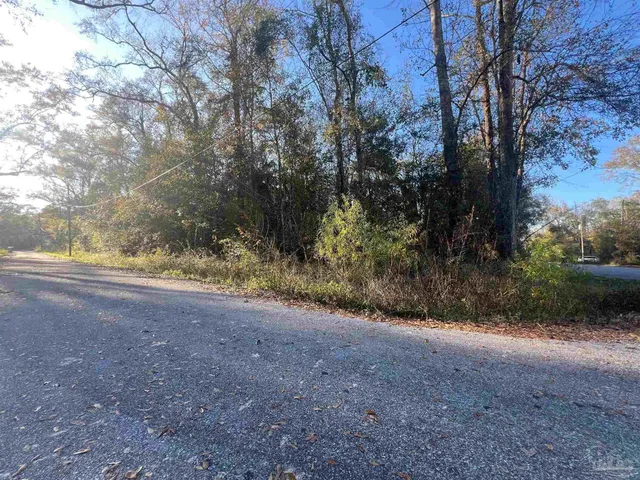 a view of a yard with a tree