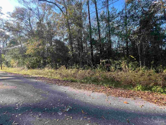 a view of a yard with a tree
