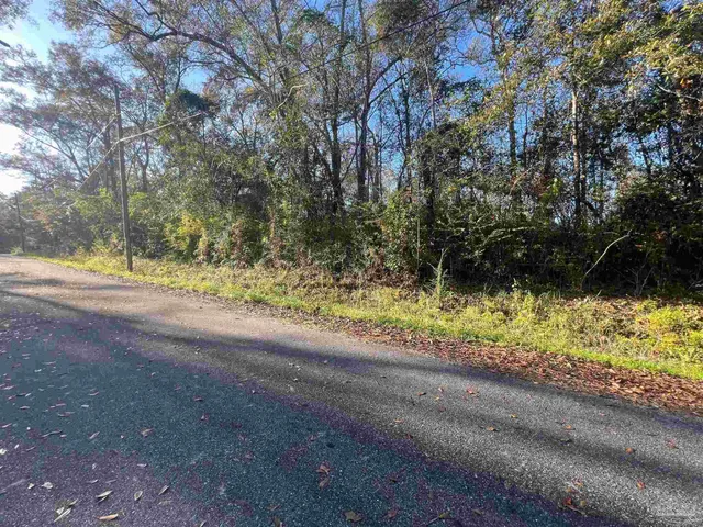 a view of a yard with large tree