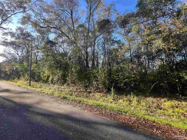 a view of a yard with plants and trees