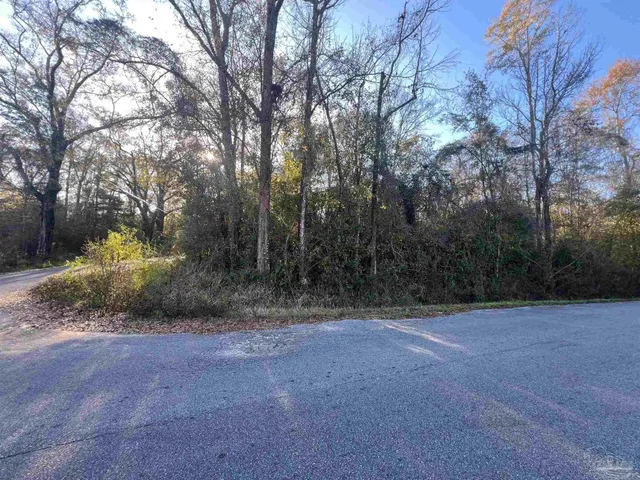 a view of a field with trees in the background