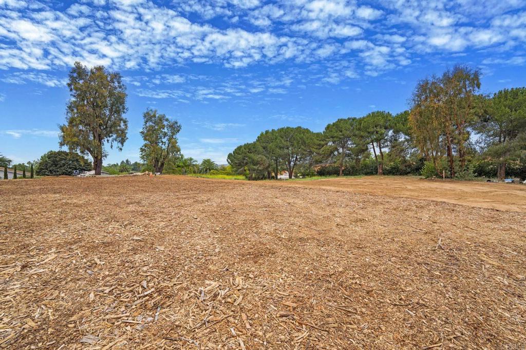1547 Dickey Street Fallbrook, CA 92028 - Photo 42 of 45 a view of a field with a tree