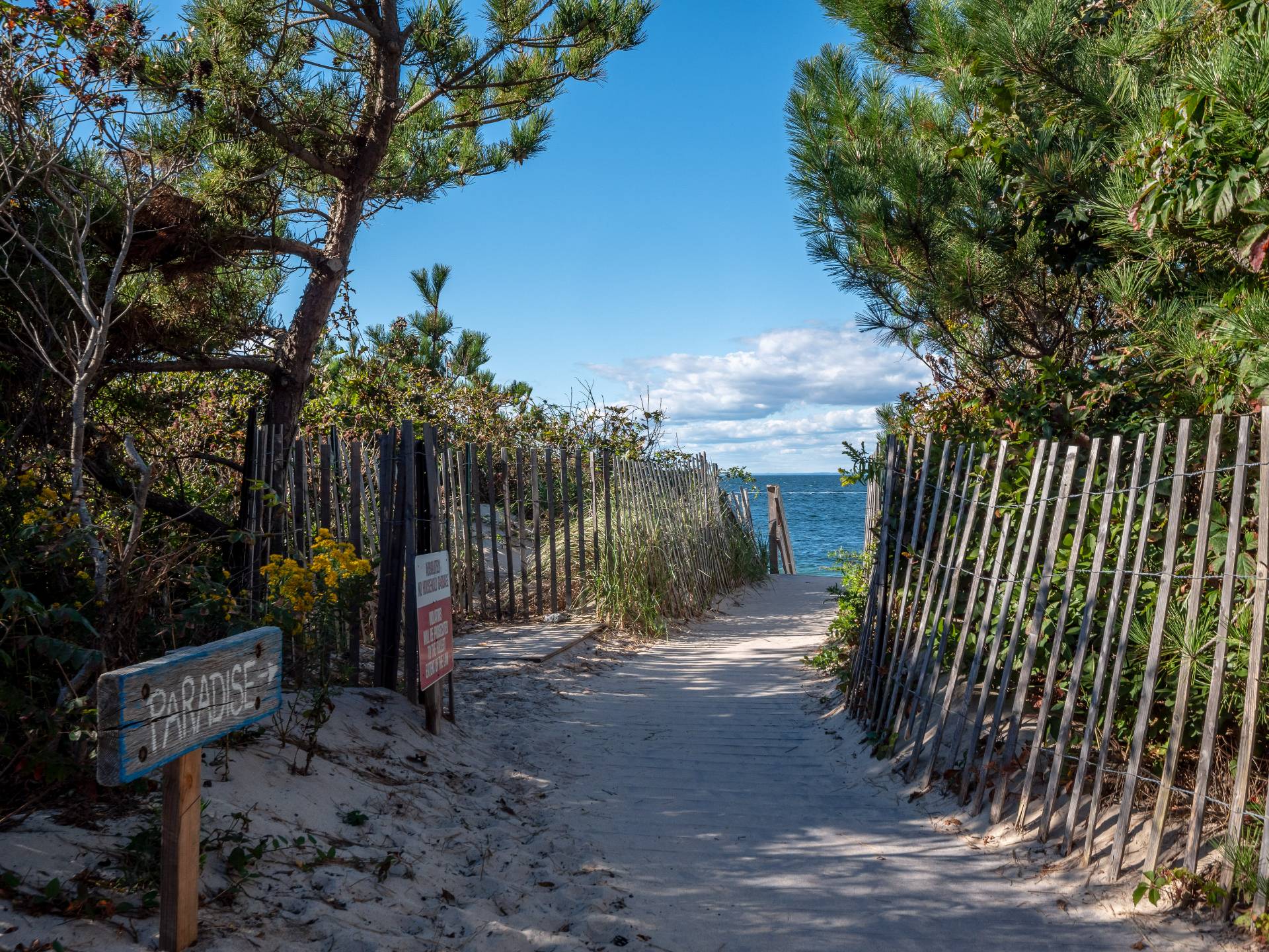 50 Gull Road Montauk, NY 11954 - Photo 2 of 14