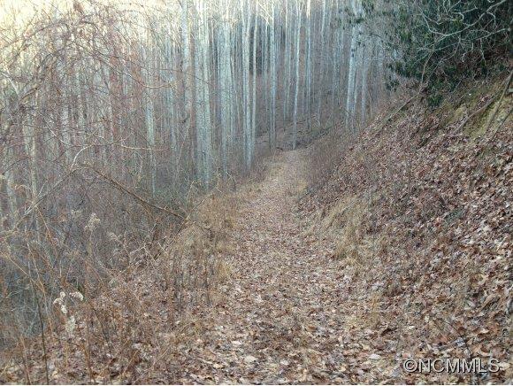 4.22-ac Joe Bailey Road Fletcher, NC 28732 - Photo 2 of 14 Gallery Image 2