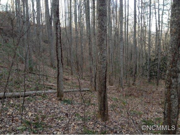 4.22-ac Joe Bailey Road Fletcher, NC 28732 - Photo 11 of 14 Gallery Image 11