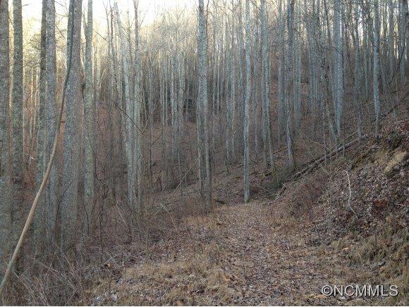 4.22-ac Joe Bailey Road Fletcher, NC 28732 - Photo 3 of 14 Gallery Image 3