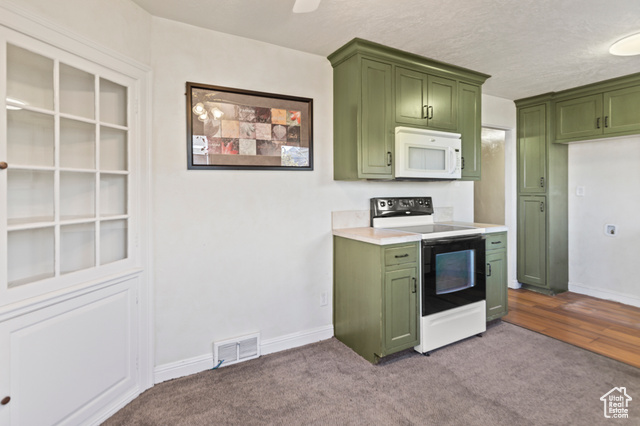 465 North Main Street Richfield, UT 84701 - Photo 22 of 43 Kitchen with white microwave, light countertops, carpet flooring, electric range, and green cabinetry