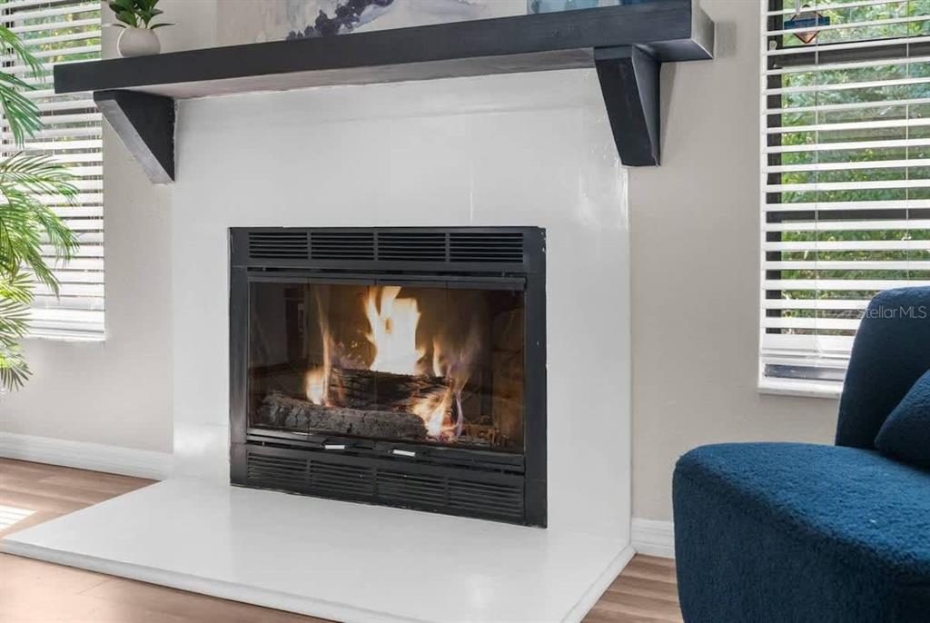 13501 Whitby Road Hudson, FL 34667 - Photo 6 of 25 a living room with a fireplace and a rug