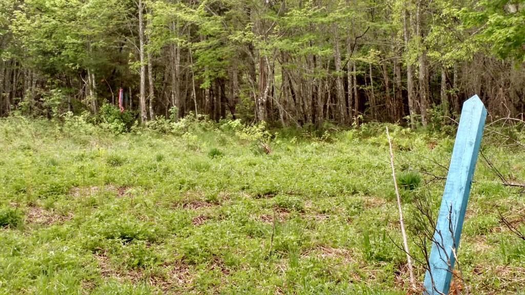 Lot 8 Davis Brook Amity, ME 04471 - Photo 8 of 11 Photo