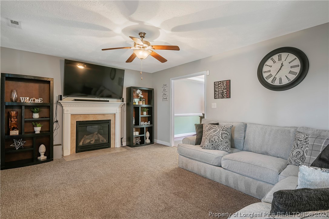 250 Pender Road Spring Lake, NC 28390 - Photo 7 of 50 a living room with furniture a flat screen tv and a fireplace
