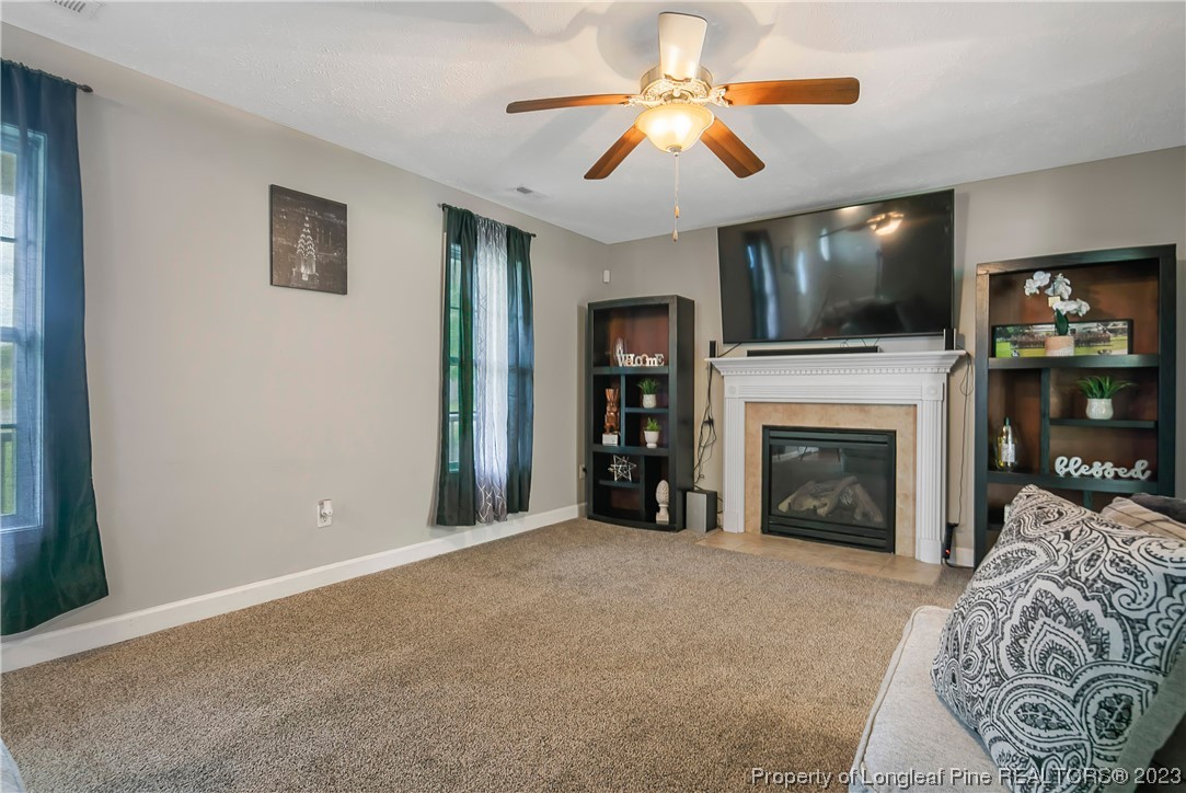 250 Pender Road Spring Lake, NC 28390 - Photo 10 of 50 a view of a livingroom with a fireplace